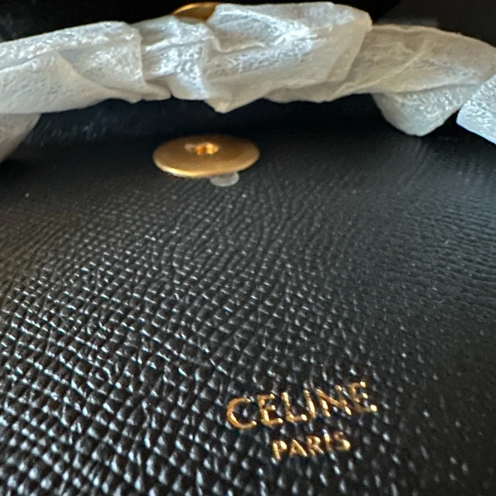 Celine Pico Belt Bag - Brand New, Never Worn - Picture 6 of 10